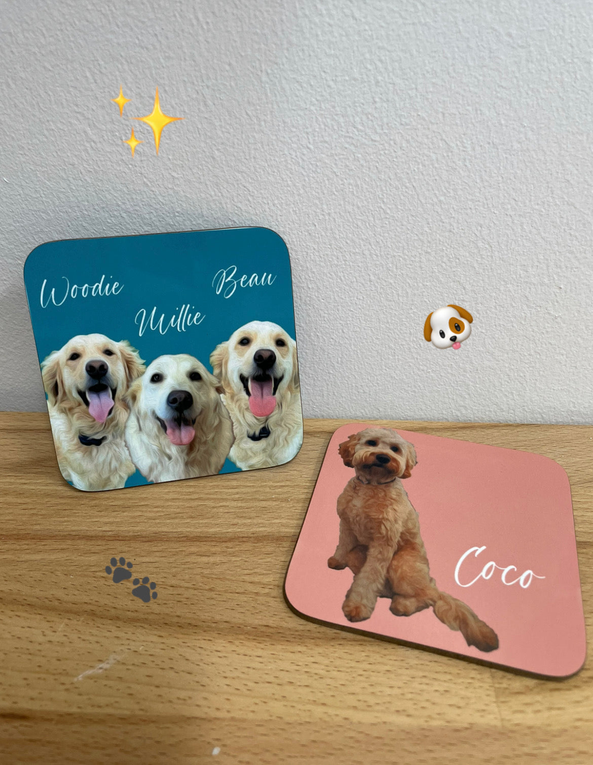 Pet Mug and Coaster set